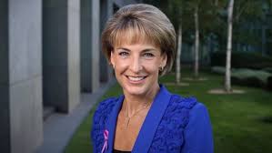 The morrison government is putting the mental health of small business owners first with the with the launch of a coaching and support program. Michaelia Cash Friend Or Foe Government News
