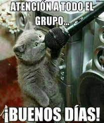 Pin De Myriam Lopez Acevedo En Buenos Dias Al Grupo Prepa 4 Buenos Dias Divertido Meme Gato Buenos Dias Chistosos