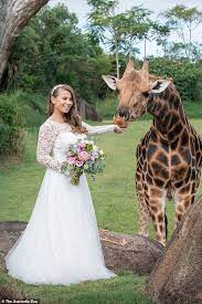 Bindi irwin shared a sneak peek of her wedding dress. Pin On The Irwins