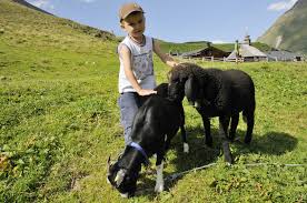 We did not find results for: Die Furthermoaralm In Kaprun 1 803 M Pinzgau