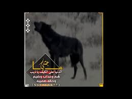 Return of the territory's lions مدبلج. Ø´Ù‡ÙŠØ© Ø­Ø§ÙØ² Ø§Ù„Ø© Ø§Ù„Ø­Ù„Ø§Ù‚Ø© Ø´Ø¹Ø± Ù†Ø¨Ø·ÙŠ Ø¹Ù† ÙƒÙŠØ¯ Ø§Ù„Ù†Ø³Ø§Ø¡ Idearoomer Com