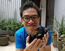 We made the sacrifice': Powerless to resist development, Wang Chau villages  face demolition