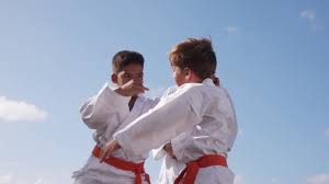 Fighting Kids Stock Footage: Royalty-Free Video Clips - Storyblocks