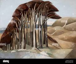 Image result for Soudan Brown 1929 Nash