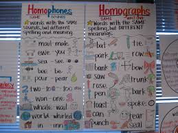 homophones homographs anchor charts for literacy center