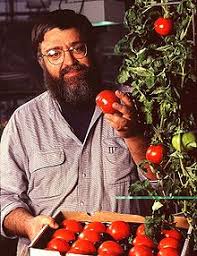 From personal experience, i can say that it drains well, which aerated cactus soil is superior in that it is more congenial for plants to take up root. Genetically Modified Tomato Wikipedia