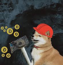 So, if you were wondering how can i buy dogecoin in canada, look no further than baapatm. Profit Springerlink