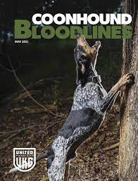 Find your style and create your dream bedroom scheme no matter what your budget, style or room size. Ukc Coonhounds Kalamazoo Michigan Pet Service Business Service Facebook