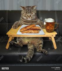 We did not find results for: Cat Eating Fried Fish Image Photo Free Trial Bigstock