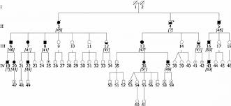 Kids learning about their family history through family tree helps them develop a better sense of who they are and why they look and act the way one's ancestors do. Genetic Family Tree Verat