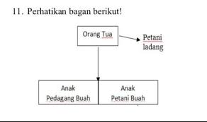Bentuk mobilitas sosial pada bagan tersebut adalah… a. Bagan Di Atas Menggambarkan Terjadinya Mobilitas Sosial A Vertikal Naikb Intragenerasi Turunc Brainly Co Id