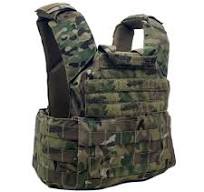Shellback Tactical Custom Skirmish Plate Carrier.