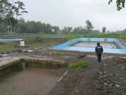 We did not find results for: Suara Muslim Wanita Doyan Selingkuh Takkan Mencium Bau Syurga Tobatlah