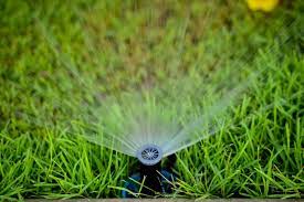 Our pick for the best garden sprinkler is the growgreen garden sprinkler 360 degree rotating lawn sprinkler. How Long Should I Leave The Sprinkler On Sumo Gardener
