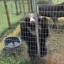 Profile Picture of Jim Hofferber, owner of Animal Haven... - Roadside Zoo News (@facebook.com) on Google