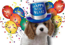 Cavalier King Charles Spaniel Happy New Year Christmas Pet Photos Happy New Year Dog Animal Wallpaper