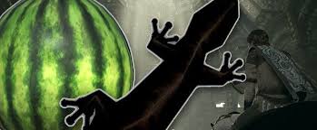 Shadow Of The Colossus Fruit/Lizard Map Map For Playstation 2 By Jekoln -  Gamefaqs