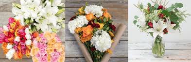 A key advantage for the bouqs company is that flowers are cut only. A Digitally Enabled Supply Chain In Bloom Technology And Operations Management
