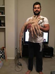 Maybe you would like to learn more about one of these? Life Size Knit Alien Facehugger