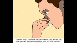 Masalah hidung berdarah haruslah diambil serius kerana pendarahan yang berlebihan boleh menyebabkan komplikasi serius. Rawatan Hidung Berdarah Youtube