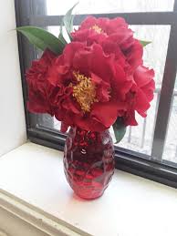 Camellias Don Mac Glass Vase Flowers Vase