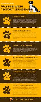 Hilfreiche Tipps Fur Den Weg Zur Stubenreinheit Fur Welpen Und Auch Ausgewachsene Hunde Tipp 1 Viele Welpen Mussen Si Welpen Tipps Hunde Welpen Erziehung