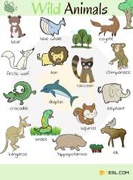 Animal Names Types Of Animals With List Pictures 7 E S L Animals Name In English English Vocabulary Learning English For Kids