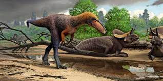 Mammuts hat es noch bis vor 12000 jahren gegeben.… nein da liegen viele millionen jahre zwischen. Neue Dinosaurier Art Forscher Entdecken Fruhen Verwandten Des T Rex