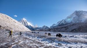 The annapurna base camp trek is one of the most sought after trekking destinations in nepal. Annapurna Vs Everest Your Definitive Trekking Guide Intrepid Travel Blog