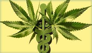 What Is Medical Marijuana And Facts You Need To Know