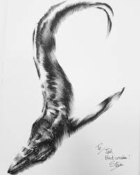 Jed Taylor On Twitter I Asked Sharkbitesteve To Draw Me A Sea Serpent With Qualities Of A Moray Eel And A Mosasaur He Did Exactly That Tetzoocon Https T Co Z6fplvuym2 Use light, smooth strokes to begin. twitter