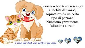 I Link Piu Belli Sui Gatti E Sui Cani Home Facebook