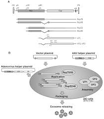 Image result for White 1998 AAV