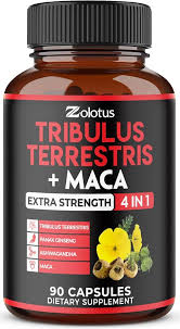 Image result for Tribulus terrestris
