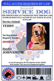 Service Dog Id Card Free Access To Animal Registry Xpressid Service Dogs Emotional Support Dog Dog Id