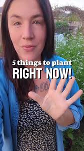 5 things to plant right now in your spring garden if your last frost date  has passed! In Texas it's time for our spring AND summer garden to be  planted! So go sow some seeds and transplant out those ...