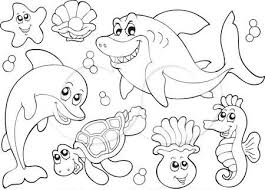 Cara menggambar ikan hiu bagian 99 youtube. 720 Gambar Sketsa Binatang Laut Terbaru Gambar Hewan