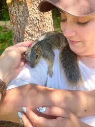 Okay so this is the first time in weeks that I haven't seen my squirrel in  48hrs and I'm freaking out ☹️☹️ This is him.