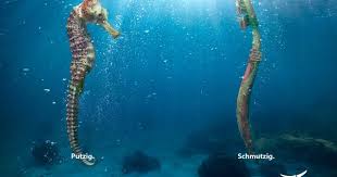 Behance Suchen Ocean Article Design Illustration