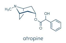 Image result for Atropine