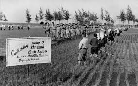 Phong trào Ba sẵn sàng Thái Bình