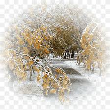 Golden Autumn Child Winter Rain Winter Landscape Child Winter Cloud Png Pngwing Are you searching for winter rain png images or vector? pngwing