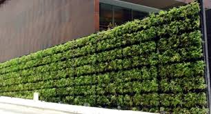 Plants make excellent privacy screens because they can block noise and unsightly views while also adding color, texture and seasonal interest that only gets better with each growing season. Balcony Privacy Screen With Vertical Garden Effective And Inexpensive Interior Design Ideas Ofdesign