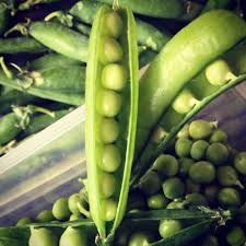 Homegrown Peas D Fresh Instafood Veggies I 2020