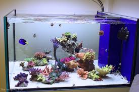 The complete 'scape is not very heavy, because it has many. Thoughts On Reef Aquascaping Reef2reef Saltwater And Reef Aquarium Forum