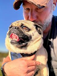With Winston The Pug
