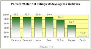 Where Zoysia Grass Grows In Usa