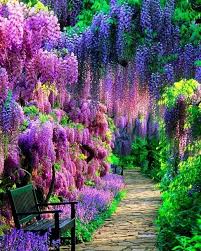 Kitakyushu Japan Photo By Beauteria Explore Traveler Travelphotography Travelbug Visitjapan Wanderlust Tr Beautiful Gardens Beautiful Nature Nature