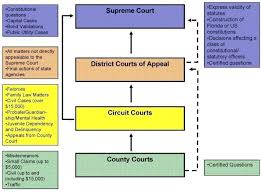 42 True To Life Federal Court Flow Chart