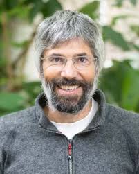 Chemistry, biosynthesis and biology of floral volatiles: roles in  pollination and other functions